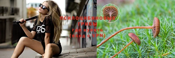 соль курить ск Аркадак